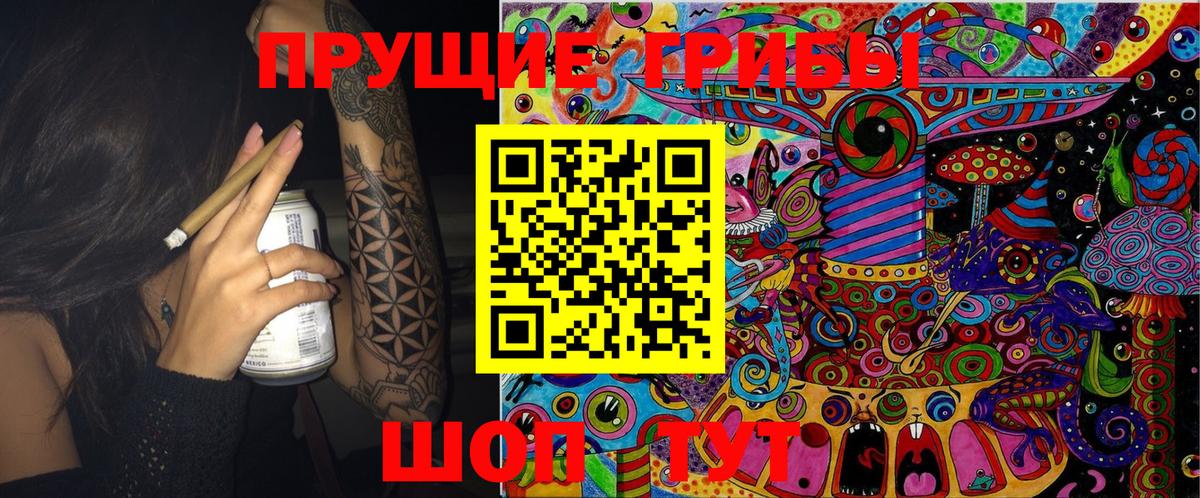 Псилоцибиновые грибы MAGIC MUSHROOMS  Вход с VPN  Апрелевка 